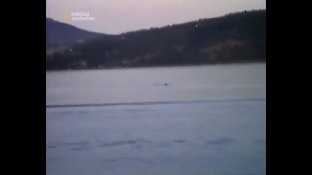 Глубоководные чудовища. Реальность или вымысел? смотреть онлайн