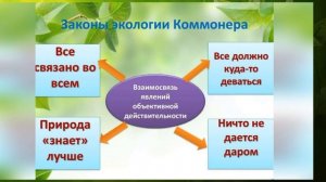 Экологический урок «Земля - наш общий дом»