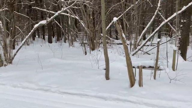 Прокладка лыжни смотреть онлайн
