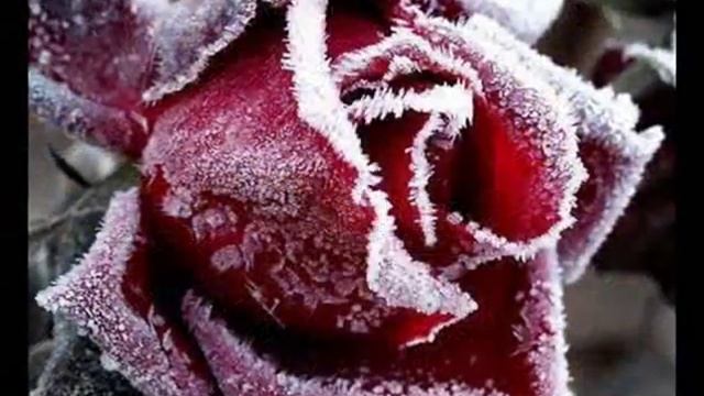 С Новым Годом! Happy New Year! -TINA RUSSIAN смотреть онлайн