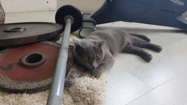 Ошо