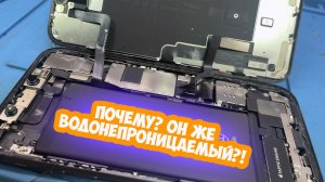 Про водонепроницаемость телефонов и любителей с ними плавать (на примере iPhone 11)