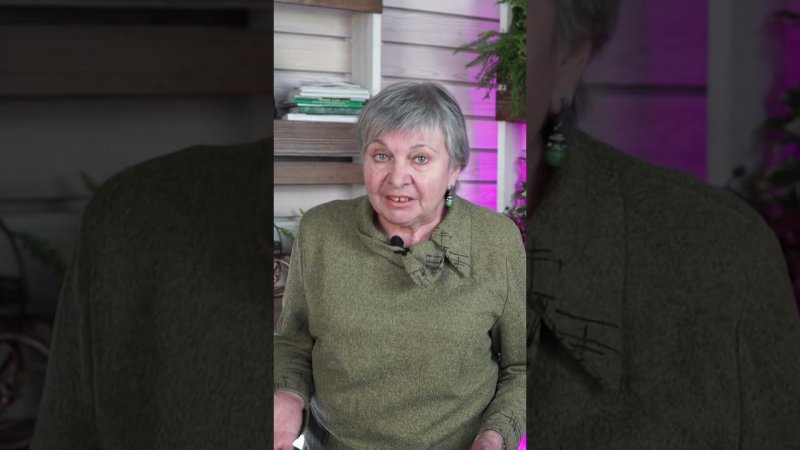 Продают ли ГМО семена в магазине ?