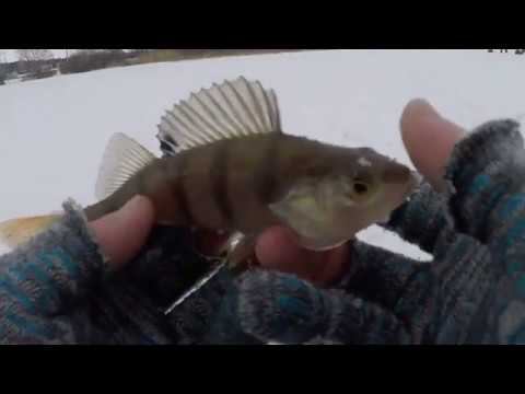 А Н О Н С | Окунь на БЕЗМОТЫЛКУ | Волшебная ЛУНКА РАЗДАЁТ. смотреть онлайн