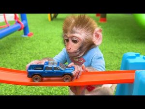 обезьянка играет с машинками