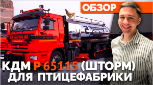 КДМ Р 65115 Шторм от Завода Регион 45 | Индивидуальная комплектация под заказ