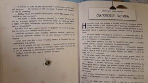 Истории сказочного леса. Лесные малыши. Шампиньон темно-красный.Сверкающая паутина.