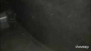 Пежо 406, стук спереди и сзади