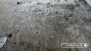 Монолитные лестницы из бетона