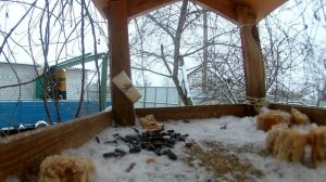 Кормушка для птиц