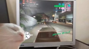 Обзор офисной видеокарты 8400gs от Palit/// Тестируем в играх