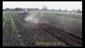 Довсходовая обработка картофеля с применением ежиков