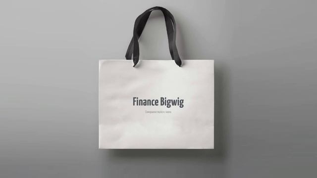 Фирменный пакет с логотипом FINANCIAL BIGWIG ®