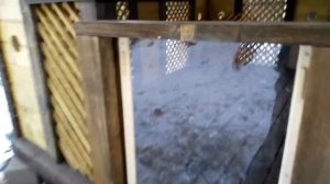 Съёмное остекление в беседке // Как снять и поставить раму в беседке // Беседки Глушакова
