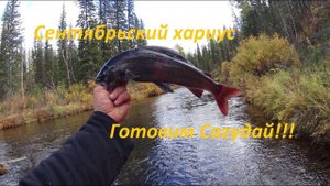 Рыбалка на хариуса в сентябре!!! Готовим Сагудай или Хе его знает)))