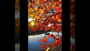 какие обряды делать в день осеннего равноденствия!!