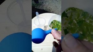 Сопли у гусенка.Как лечить?