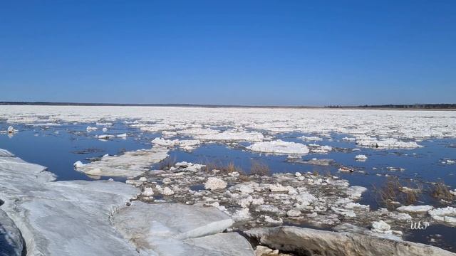 ЛЕДОХОД на ЕНИСЕЕ 2022 г. смотреть онлайн