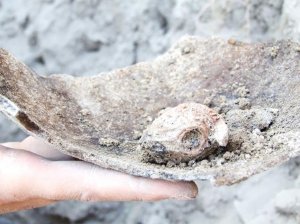 Раскопки иерусалимского рынка 8-9 вв. н.э. Яна Чехановец.