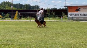 3.  выражено/перв DE ORSE MAK FLAI VOLAND DE MORT (Kampus V. Drei Birkenzwinger – De Orse Mak Flai K