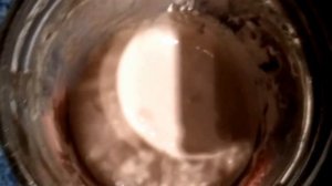 Закваска Левито Мадре. Как восстановить из высушеной?