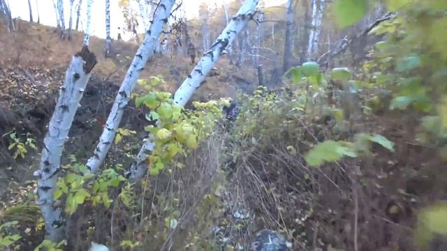 Куда можно забраться на эндуро мотоцикле смотреть онлайн