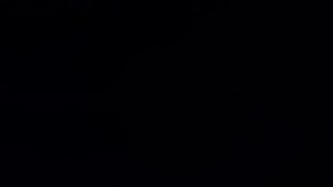 В. Добрынин. "Я каждый взгляд, каждый жест твой в душе берегу..."