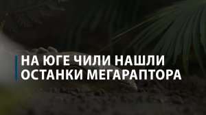 На юге Чили нашли останки мегараптора