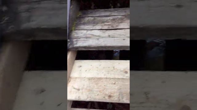 Городская лестница.На нее говорят выделили 100 тысяч.А вы верите что все деньги ушли по назначению? смотреть онлайн