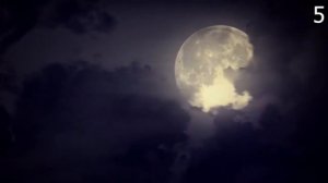 10 Страшных Видео Когда Люди Спали