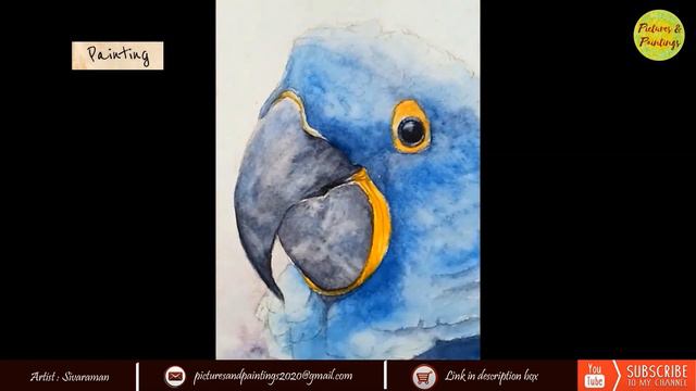 How I painted, "Smile Please!- Hyacinth Macaw": Watercolor Painting Montage - 5.55 Mins смотреть онлайн