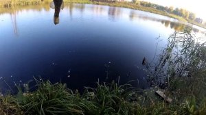 #13. Ловлю карася на хлеб. Снова удачная рыбалка.