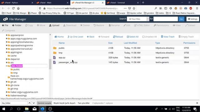 How to install Python App on the Cpanel-based (v78) Shared Hosting (Flask) - NameCheap