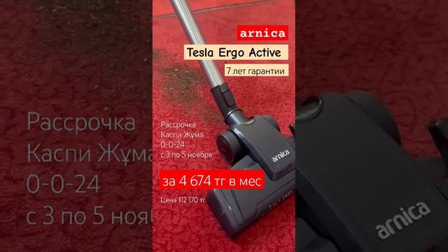 Tesla Ergo Actıve