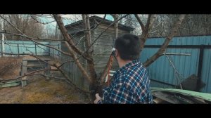 Весенняя обработка и подкормка деревьев, медный купорос, двойной фосфат, гниль и плесень.
