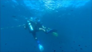 Дайвинг в Сочи для начинающих цены тел 8 989 089 80 81