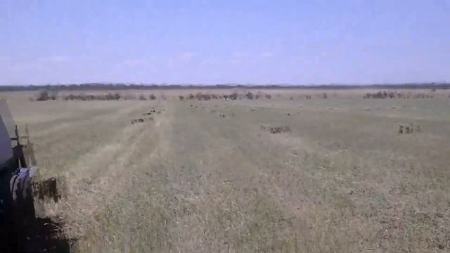 Работа в поле .Пресс Киргизстан.