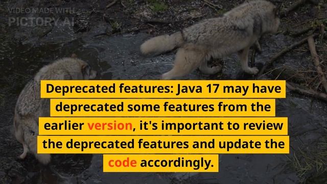 Making the Move to Java 17: A Walkthrough for Java 11 Developers #javadevelopment #javaframework