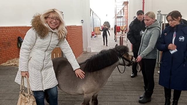 Бесплатная экскурсия и фото с пони на ВДНХ.
