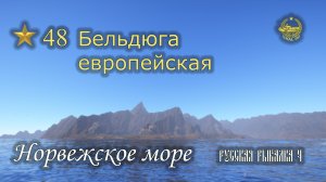 ✮ Норвежское море ✮ Бельдюга европейская ✮