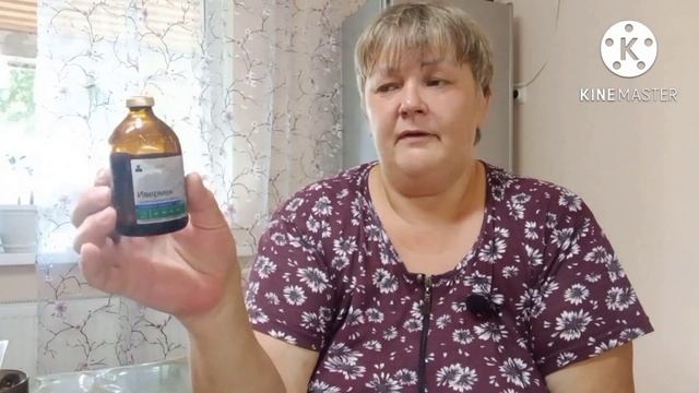 100% Борьба с мухами и их уничтожение.#мухи #борьба #борьбасвредителями #паразиты