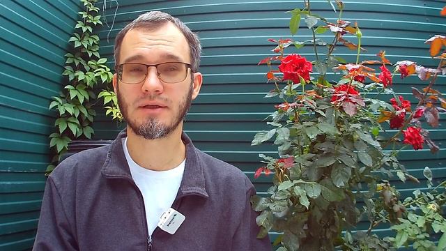 7-е размышление по книге Рубского "Перезагрузка..." смотреть онлайн