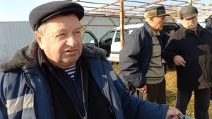 История про голубей. Слабонервным не смотреть !!!
