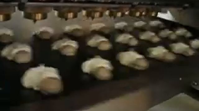 Божья коровка Челябинск.avi смотреть онлайн