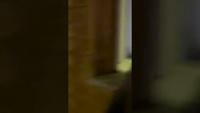 Тесла-Беларусь во Владимире. ЗАЧЕМ НУЖНА МОБИЛЬНАЯ ЗАРЯДКА для Tesla? Минск- Байкал (6) #tesla