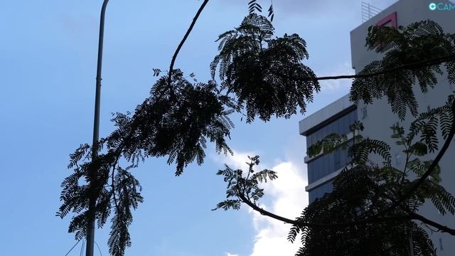 Lenovo S2 Pro: ចំណាប់អារម្មណ៍ខ្ញុំលើនាឡិកាឆ្លាតតម្លៃ 39 ដុល្លារ! смотреть онлайн