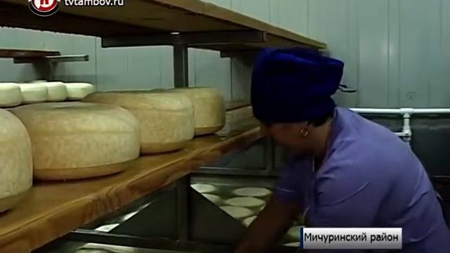 В Мичуринске запустят производство сыров с трюфелем и голландскими травами смотреть онлайн