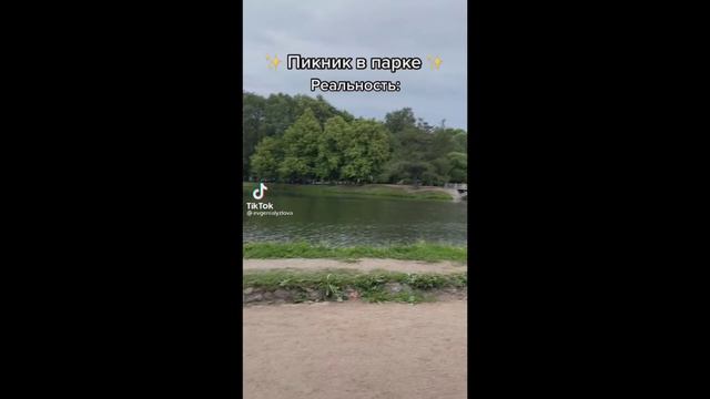 Мемы и Прикольные видео из Тик Тока #1
