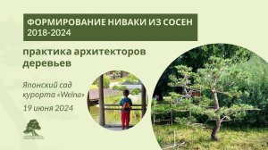 Формирование ниваки из сосны в парке курорта Welna