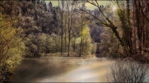 Gothic 2 Music Extended - Nature Theme Music 1h